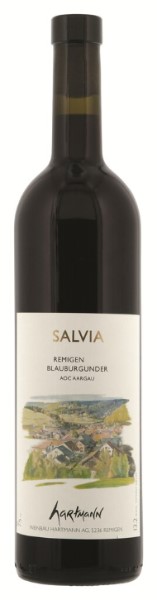 Blauburgunder Salvia B. Hartmann