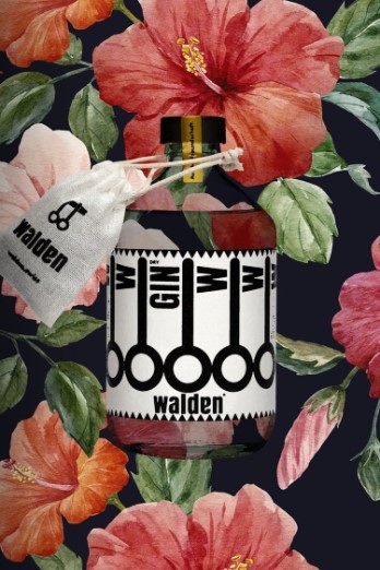 Walden Dry Gin