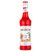 Monin Orange Spritz Sirup